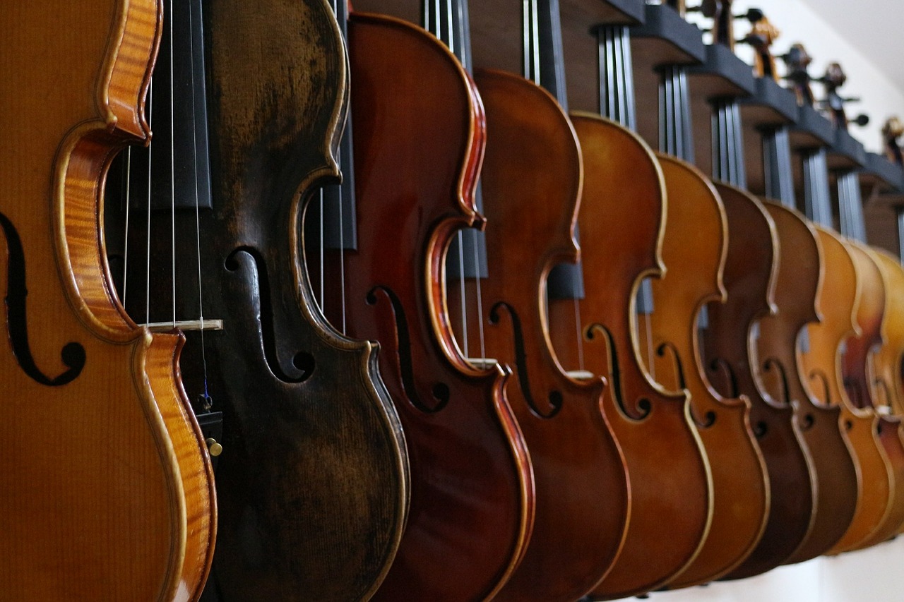 Image of many violins